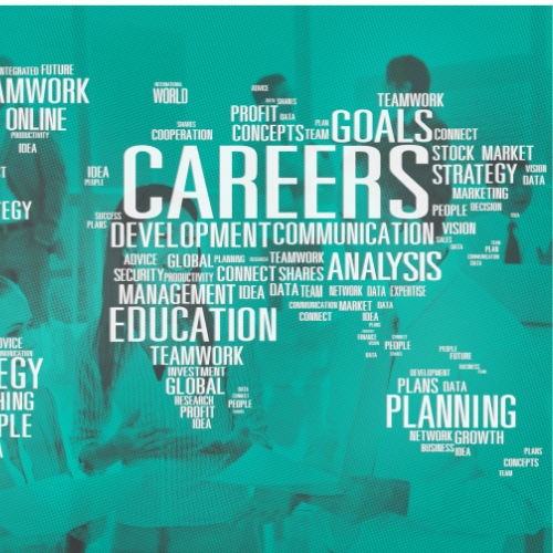 Career guidance focus area
