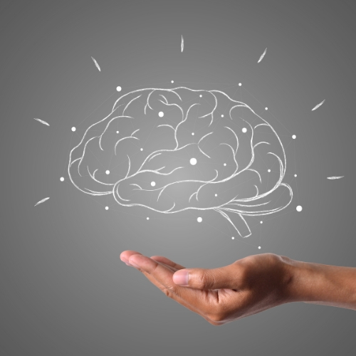 Corporate psychometric tools focus area